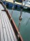 Wooden Classic 29 foot Bermudan Sloop Shrouds and turnbuckles, starboard side