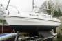 Westerly Pageant for sale